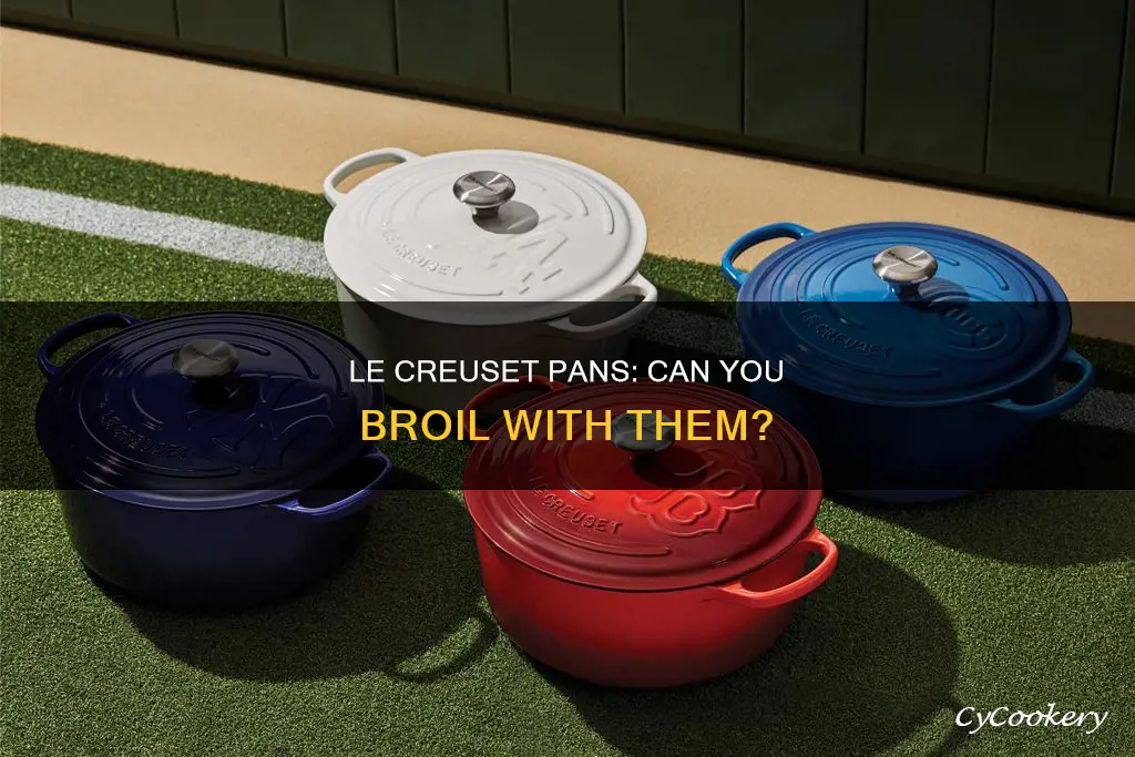 can le cruse pans be broiled