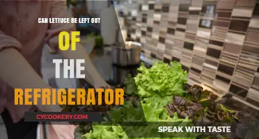 Can Lettuce Stay Fresh Without Refrigeration? A Storage Guide
