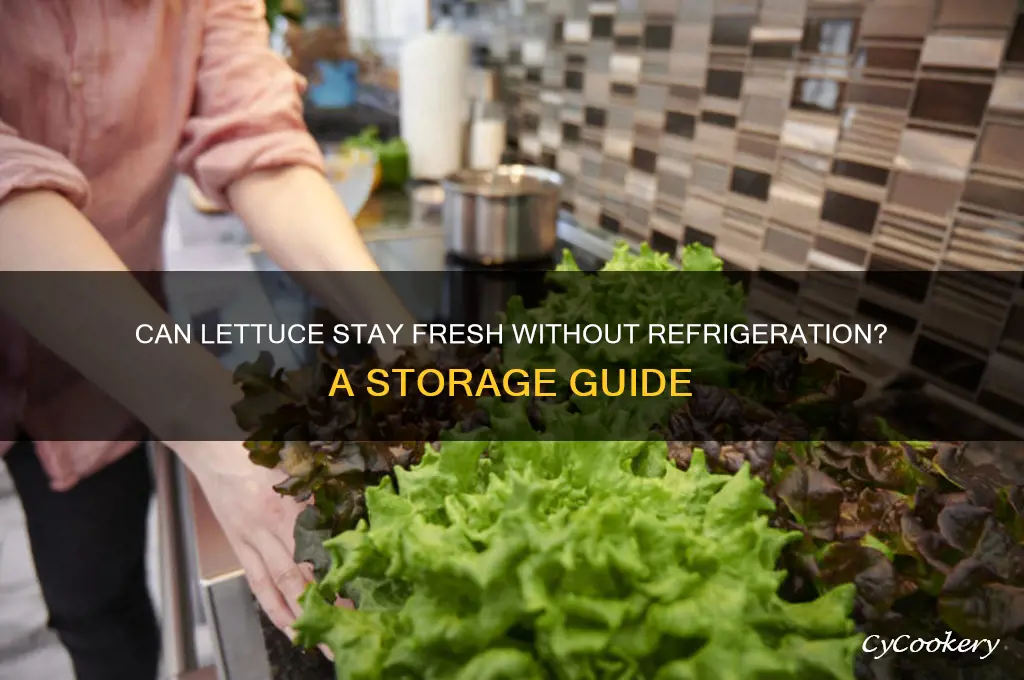can lettuce be left out of the refrigerator