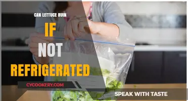 Does Lettuce Spoil Without Refrigeration? Storage Tips for Freshness