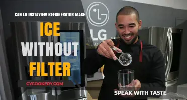 LG InstaView Fridge: Ice Production Without a Filter?