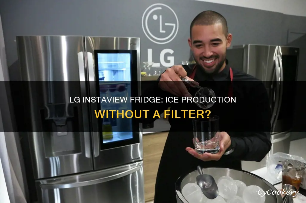 can lg instaview refrigerator make ice without filter