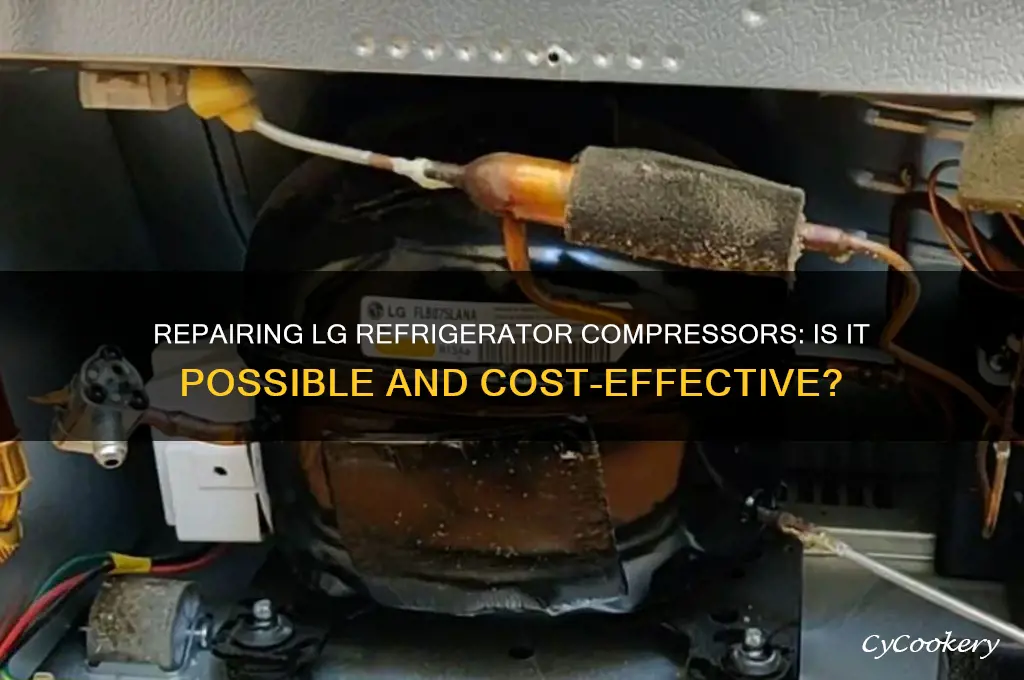 can lg refrigerator compressor be repaired