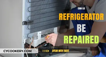 Can LG Refrigerators Be Repaired? A Comprehensive Repair Guide
