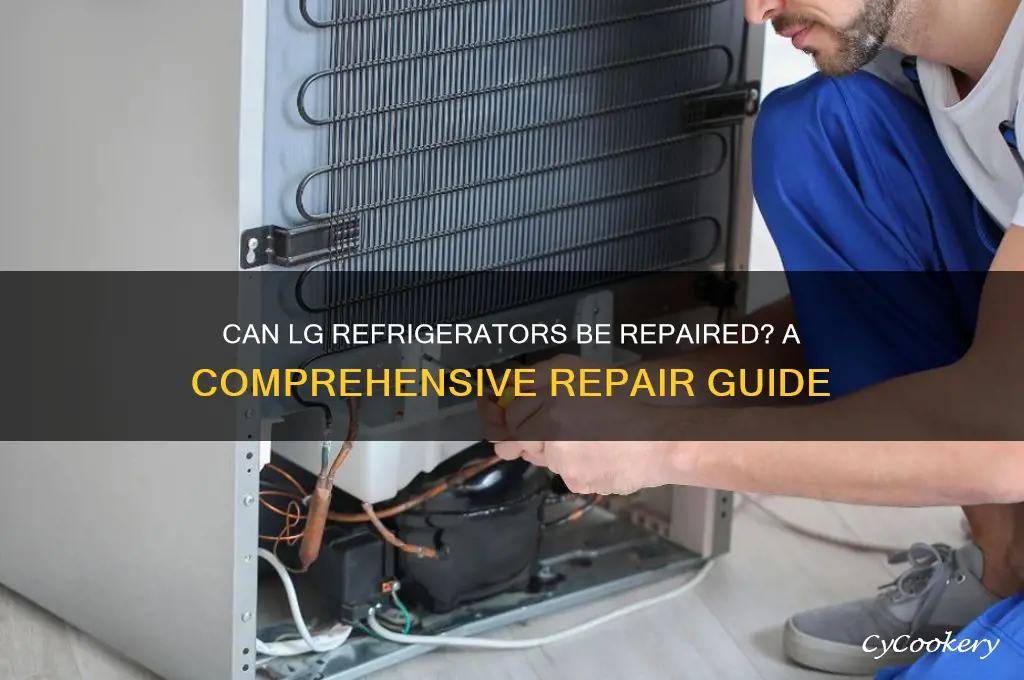 can lg refrigerators be repaired
