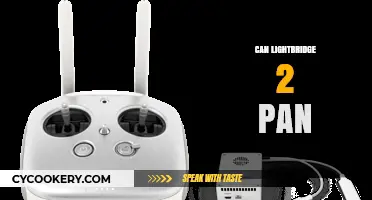 Lightbridge 2 Pan: Pros and Cons