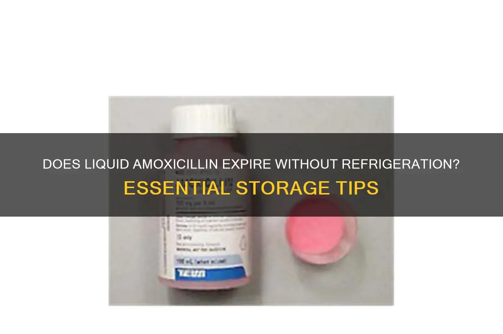 can liquid amoxicillin go bad if not refrigerated