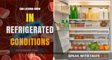 Can Listeria Thrive in Your Fridge? Chilling Facts Revealed