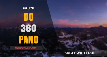 Exploring Litchi's 360-Degree Panorama Capabilities: An In-Depth Guide