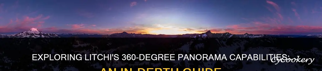 can litchi do 360 pano