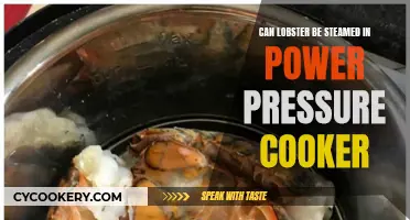 Steaming Lobster: Power Pressure Cooker Magic