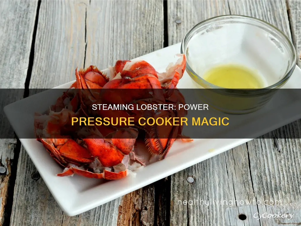 can lobster be steamed in power pressure cooker