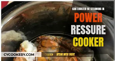 Steaming Lobster: Power Pressure Cooker Method Explored