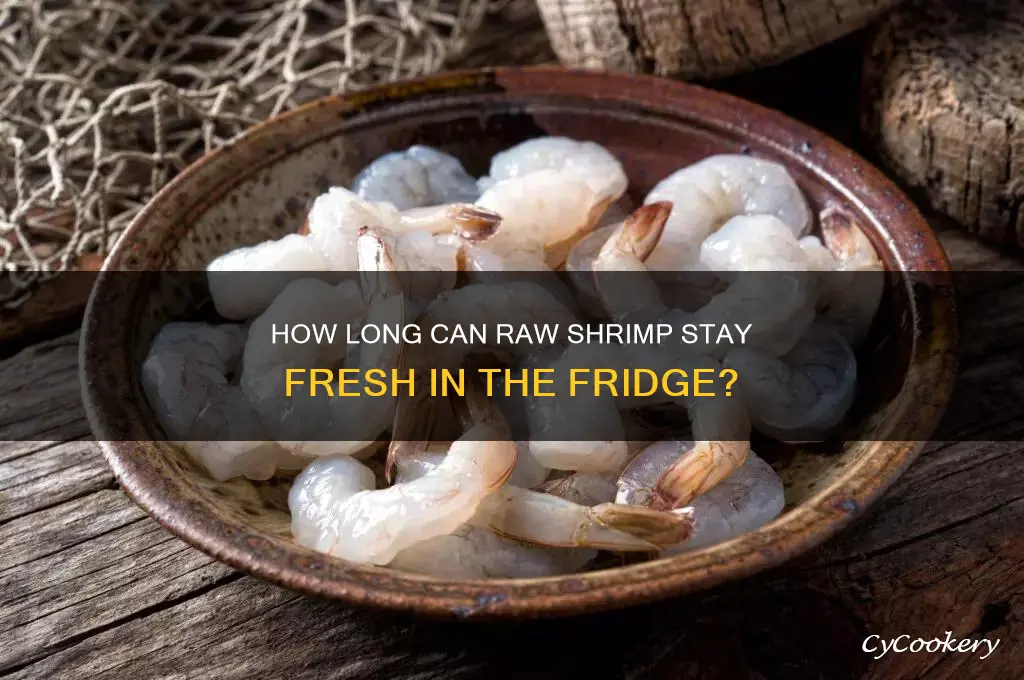 can long can raw shrimp be refrigerated
