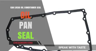 Lucas Oil Conditioner: Can It Seal Your Oil Pan?