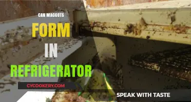 Can Maggots Form in Your Refrigerator? Uncovering the Truth
