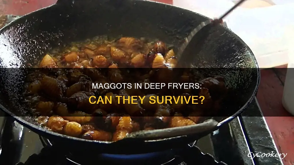 can maggots survive a deep fryer