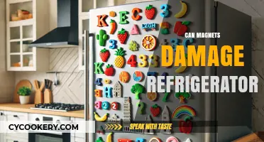 Can Magnets Harm Your Fridge? Debunking Common Refrigerator Myths