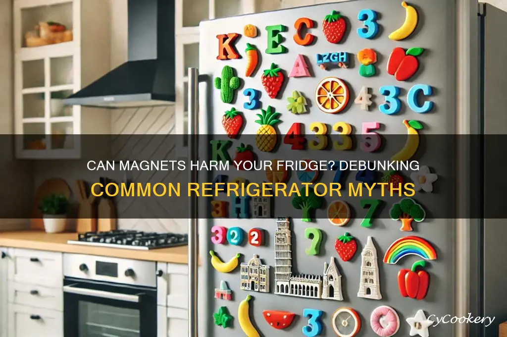 can magnets damage refrigerators