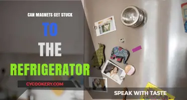 Can Magnets Stick to Your Fridge? Unraveling the Mystery