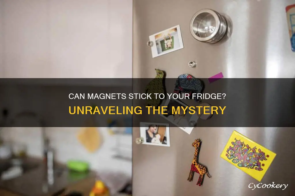 can magnets get stuck to the refrigerator