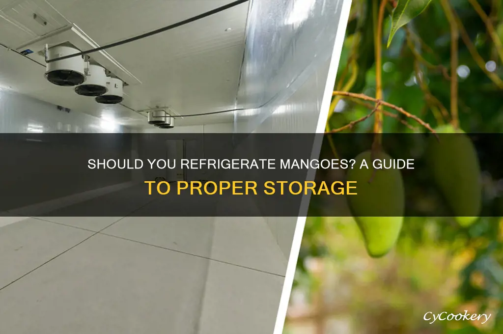 can mangoes be refrigerated