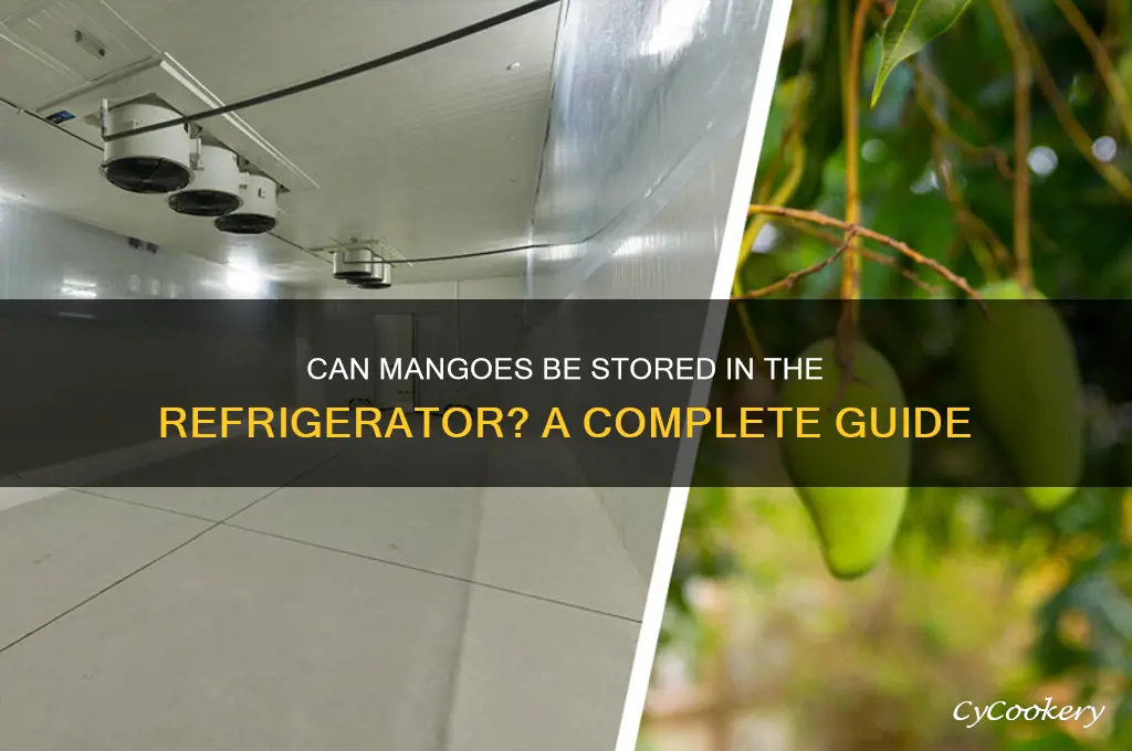 can mangoes be stored in the refrigerator