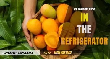 Can Mangoes Ripen in the Fridge? The Chilling Truth Revealed