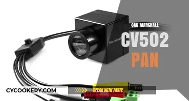 Finding the Perfect Pan: Marshall CV502 Review