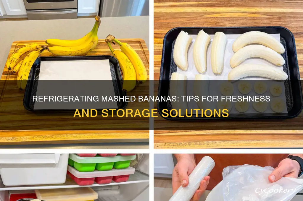 can mashed bananas be refrigerated