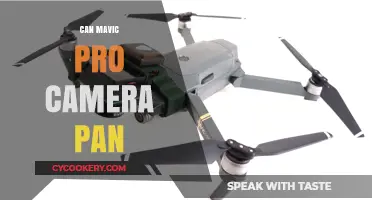 Mavic Pro's Panoramic Camera: Panning for Gold