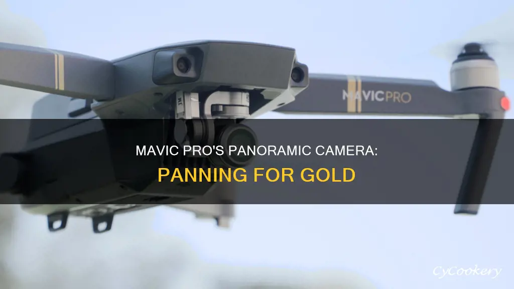 can mavic pro camera pan