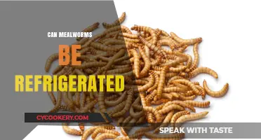 Can Mealworms Be Refrigerated? A Guide to Proper Storage