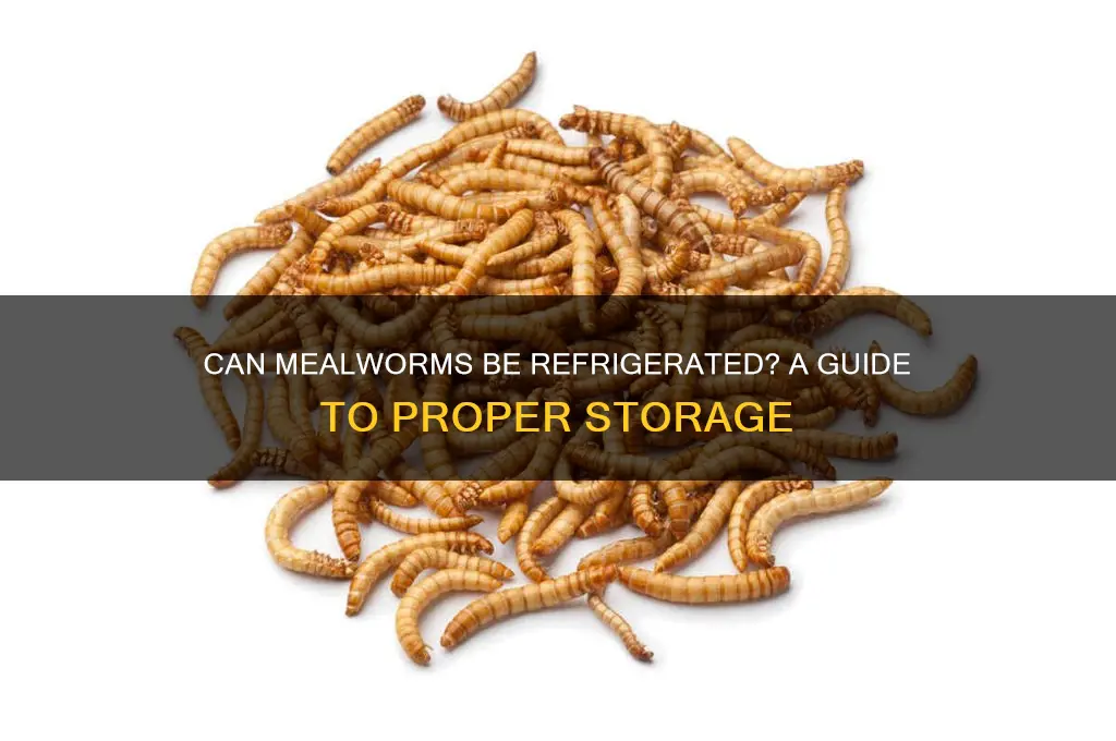 can mealworms be refrigerated