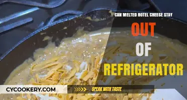 Melted Rotel Cheese: Safe to Leave Unrefrigerated or Not?