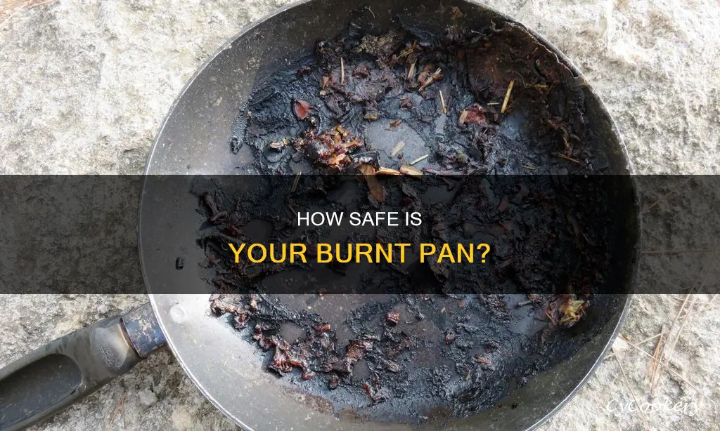 can metal leech into food from burnt pan