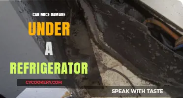 Mice Under Refrigerator: Preventing Costly Damage and Health Risks