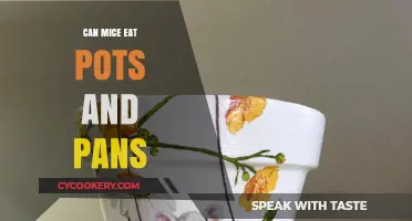 Mice and Metal: What Your Pans Are Safe?