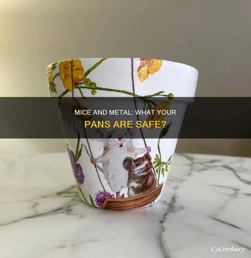 can mice eat pots and pans