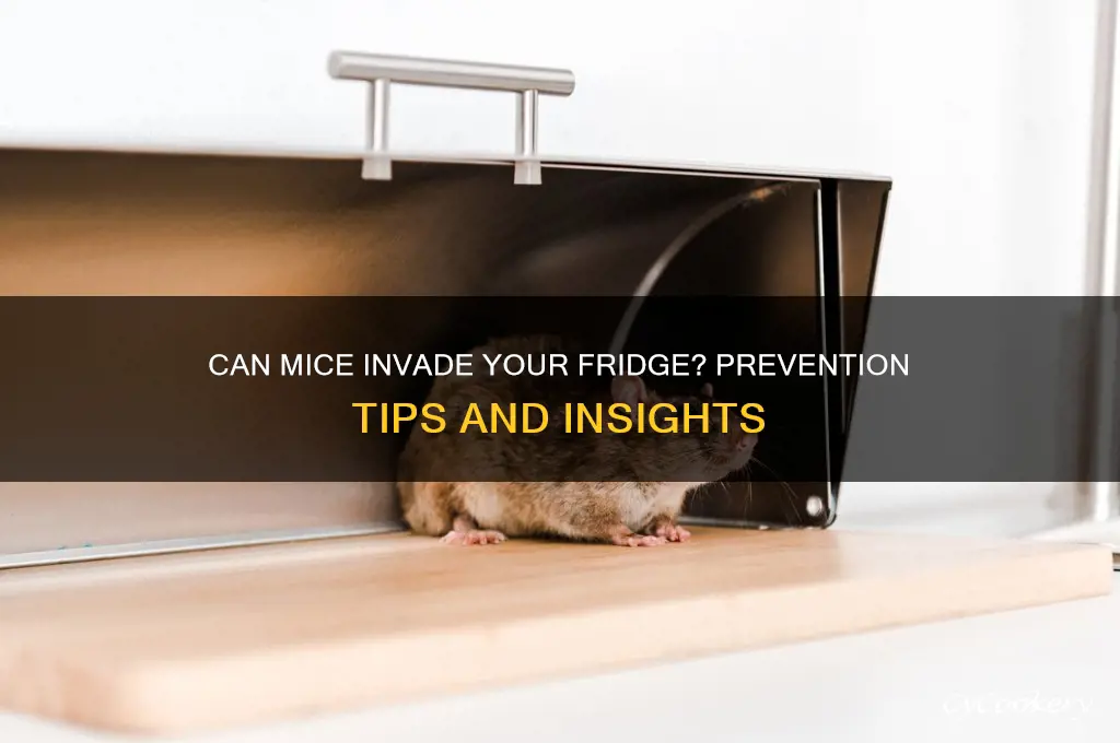 can mice get in the refrigerator