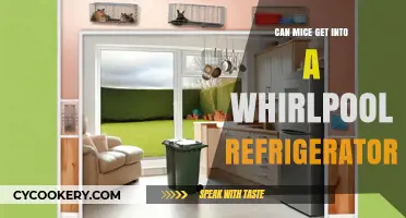 Can Mice Invade Your Whirlpool Fridge? Prevention Tips Revealed