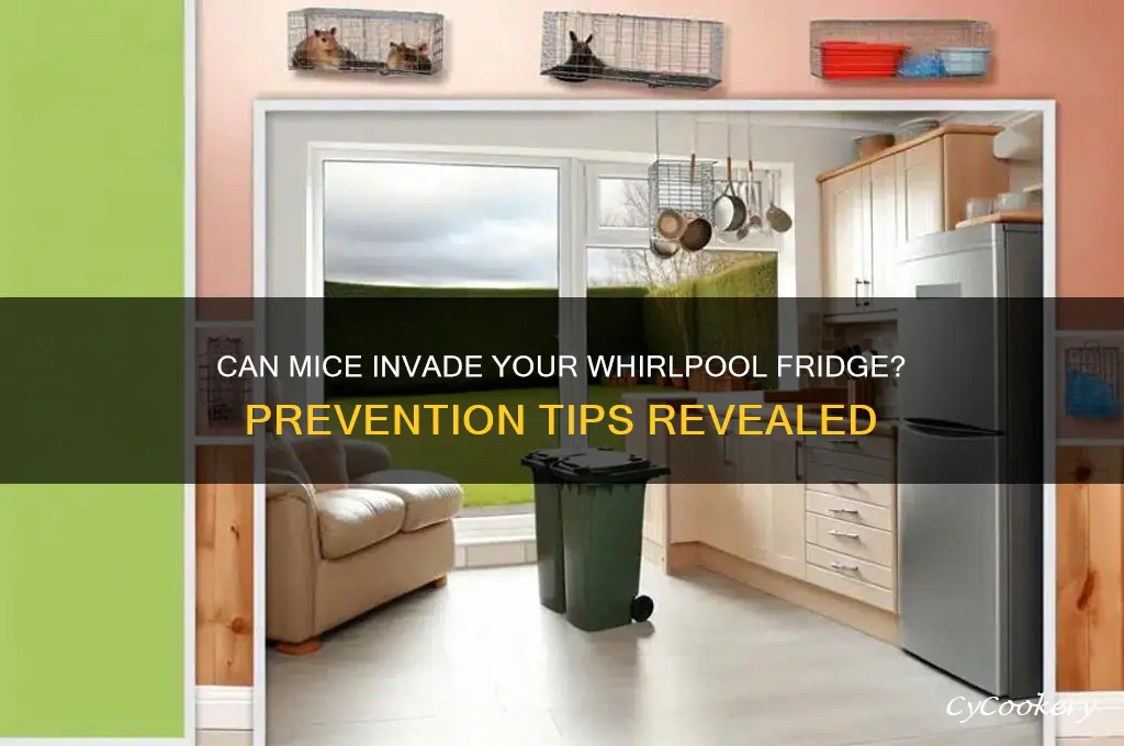 can mice get into a whirlpool refrigerator