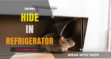 Can Mice Hide in Your Refrigerator? Surprising Facts Revealed