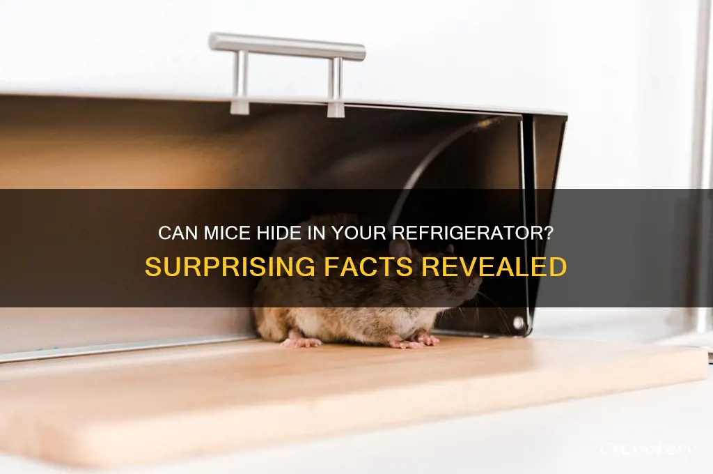 can mice hide in refrigerator