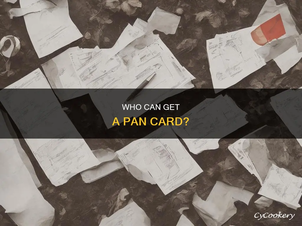 can minor get pan card