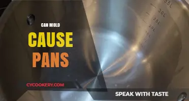 Mold and Pans: The Unseen Connection