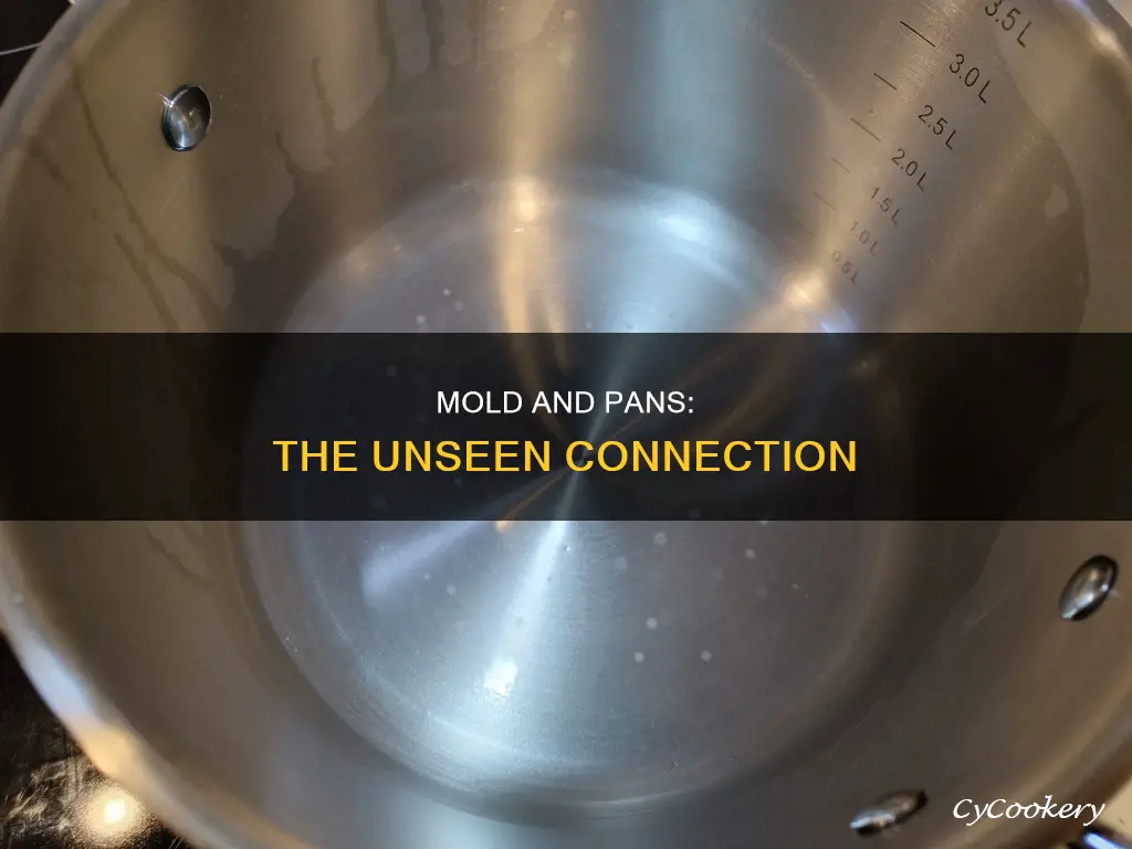 can mold cause pans