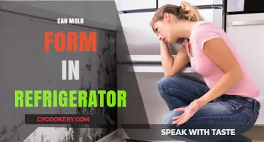 Preventing Mold Growth: Can Mold Form in Your Refrigerator?