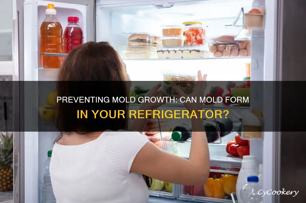 can mold form in refrigerator