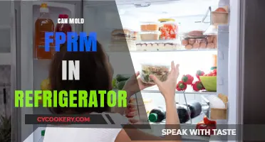 Preventing Mold Growth: How to Keep Your Refrigerator Fresh and Clean